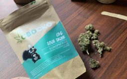 CBDčko Sour Skunk konopný květ v redakční RECENZI