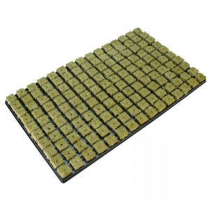 Grodan 25x25x40 mm, sadbovací rockwool kostky s dírou a sadbovačem 150 ks, BOX 18 KS