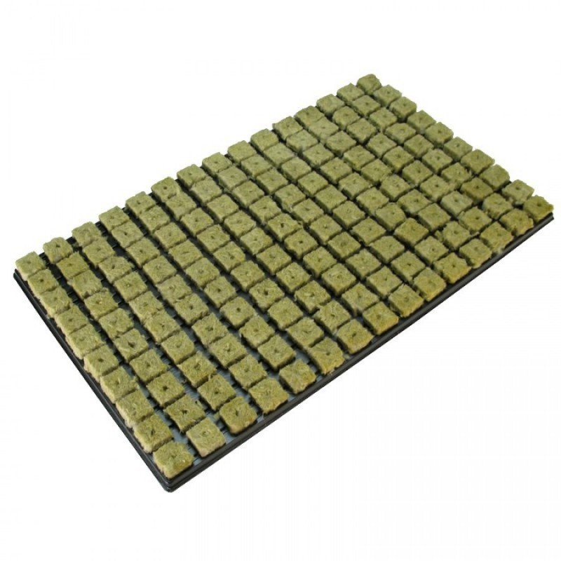 Grodan 25x25x40 mm, sadbovací rockwool kostky s dírou a sadbovačem 150 ks, BOX 18 KS