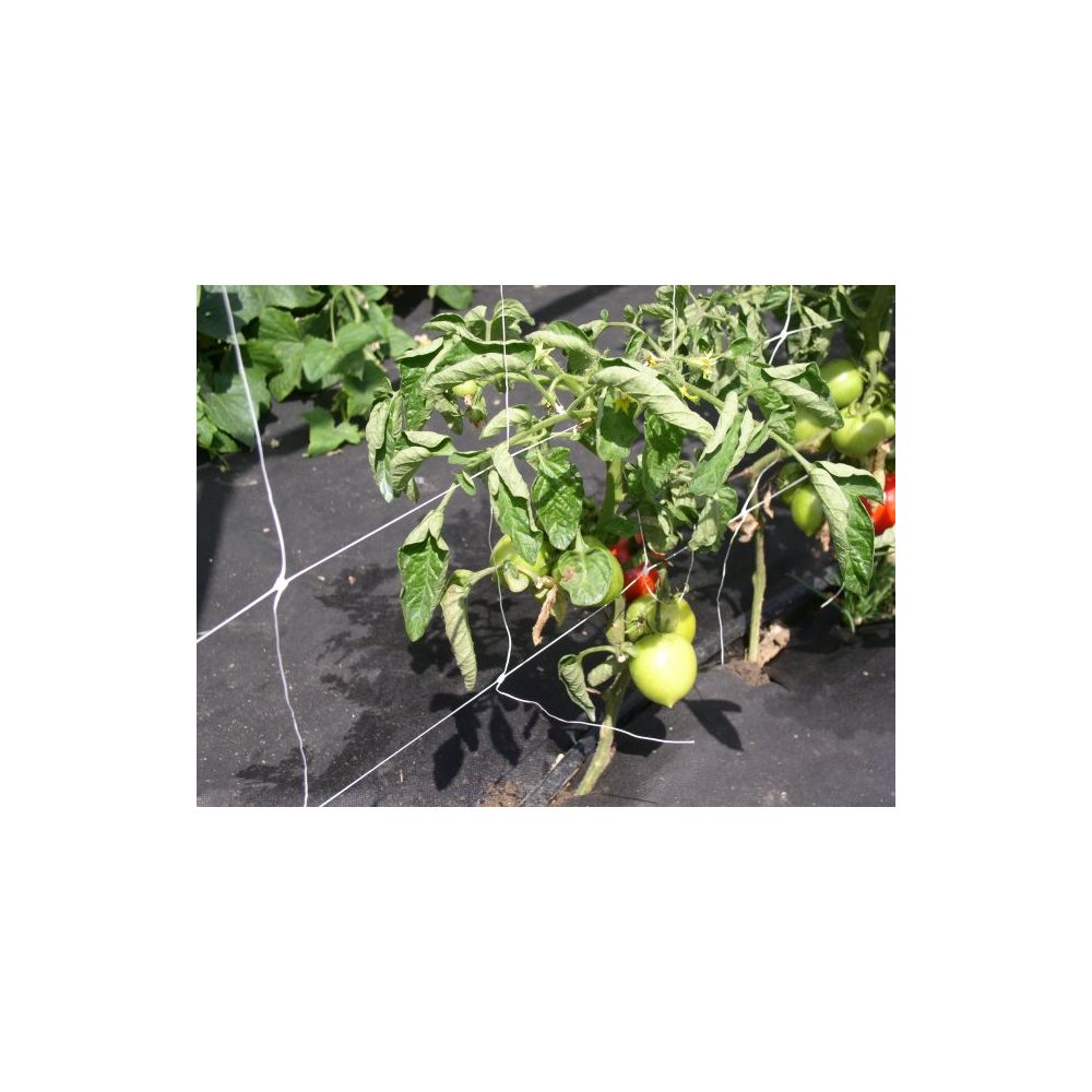 Opěrná síť Marnet 1.2x5 m, oka 12x12 cm - Obrázek 2