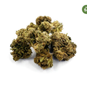 CBDčko CBD Konopný květ Harlequin GDP (malé paličky) Váha: 100 g
