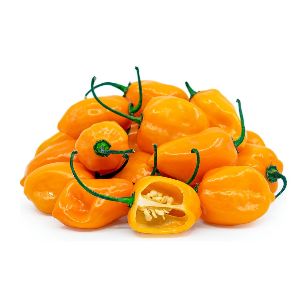 Piquant HABANERO ORANGE semínka chilli papriček, 12 s - Obrázek 2