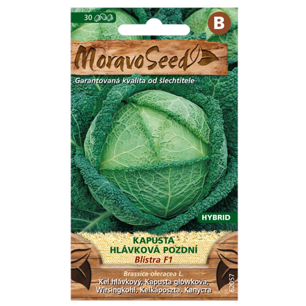Semínka Kapusta hlávková pozdní BLISTRA F1 – hybrid, 40 s
