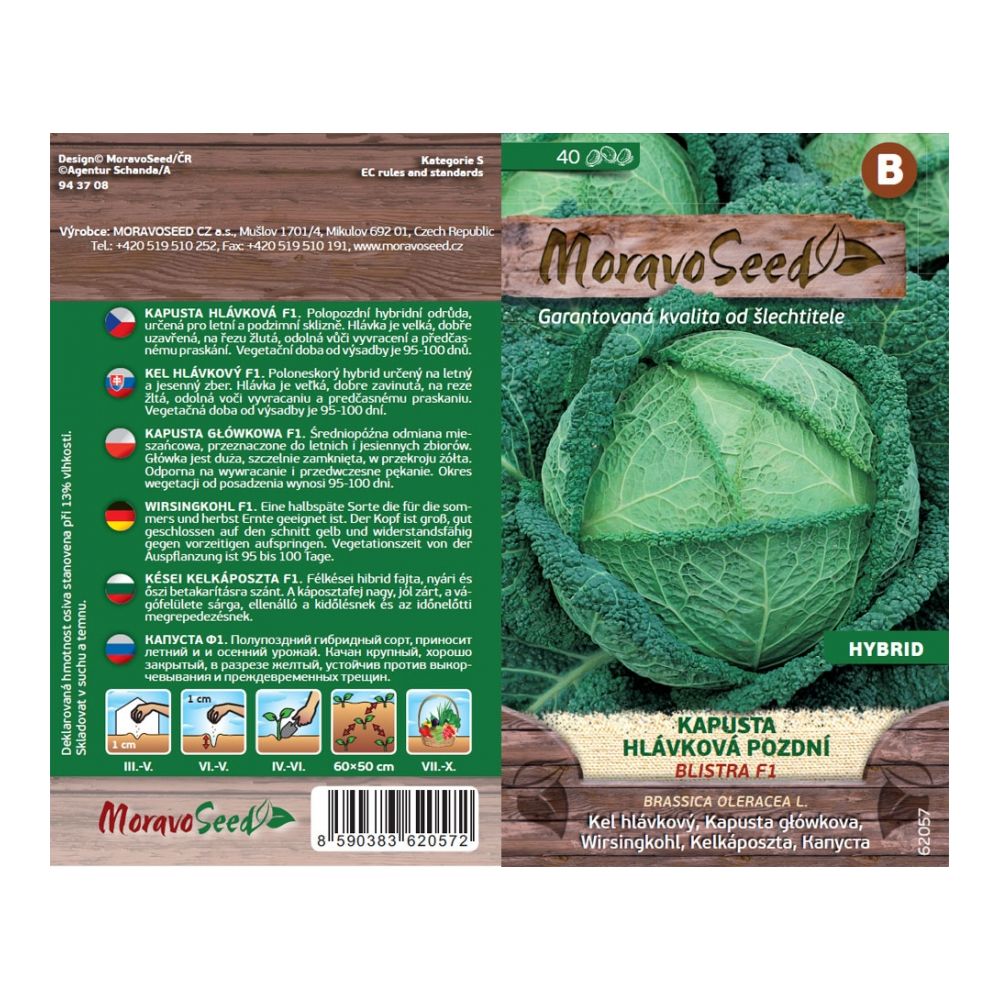 Semínka Kapusta hlávková pozdní BLISTRA F1 – hybrid, 40 s - Obrázek 2