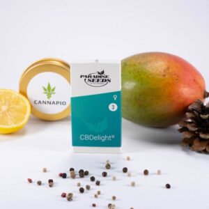 CBDelight - feminizovaná semínka 3ks Paradise Seeds