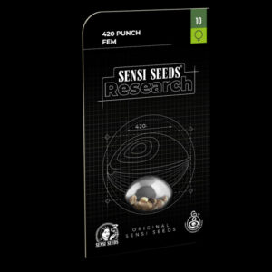 420 Punch - feminizovaná semena konopí 5ks, Sensi Seeds