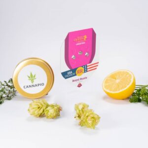 Royal Runtz - feminizovaná semínka 3 ks Royal Queen Seeds