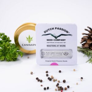 Auto CBD-Victory® - feminizovaná a samonakvétací semínka 3 ks Dutch Passion