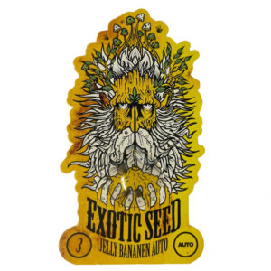 Jelly Bananen Auto - samonakvétací semena marihuany, 3ks Exotic Seed