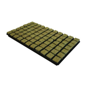 Grodan 36x36x40 mm, sadbovací rockwool kostky s dírou a sadbovačem 77 ks, BOX 18 KS
