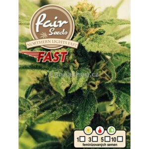 Northern Lights FAST - feminizovaná semena marihuany 5ks Fair Seeds