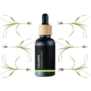 Calamus - 100% přírodní esenciální olej (10ml) - Pěstík