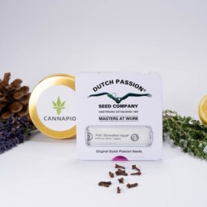 Auto Skywalker Haze®  -  samonakvétací semínka 3 ks Dutch Passion