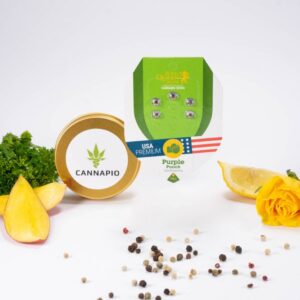 Purple Punch Automatic - feminizovaná a samonakvétací semínka 5ks Royal Queen Seeds