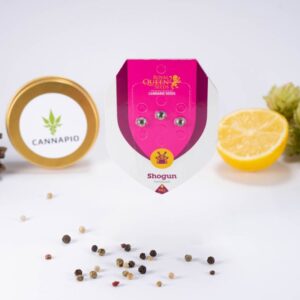 Shogun - feminizovaná semínka 3 ks Royal Queen Seeds