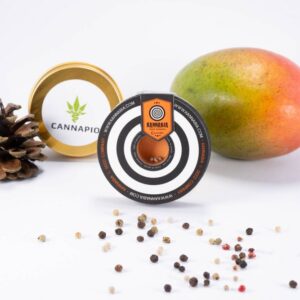 Swiss Dream Auto CBD - 3ks samonakvétací semínka Kannabia Seeds