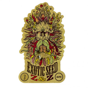 Z&Z Auto - samonakvétací semena marihuany, 3ks Exotic Seed