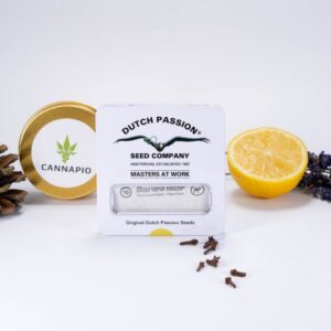 Auto Banana Blaze - samonakvétací semena 7 ks Dutch Passion