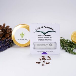 Auto Skywalker Haze® - feminizovaná a samonakvétací semena 7 ks Dutch Passion