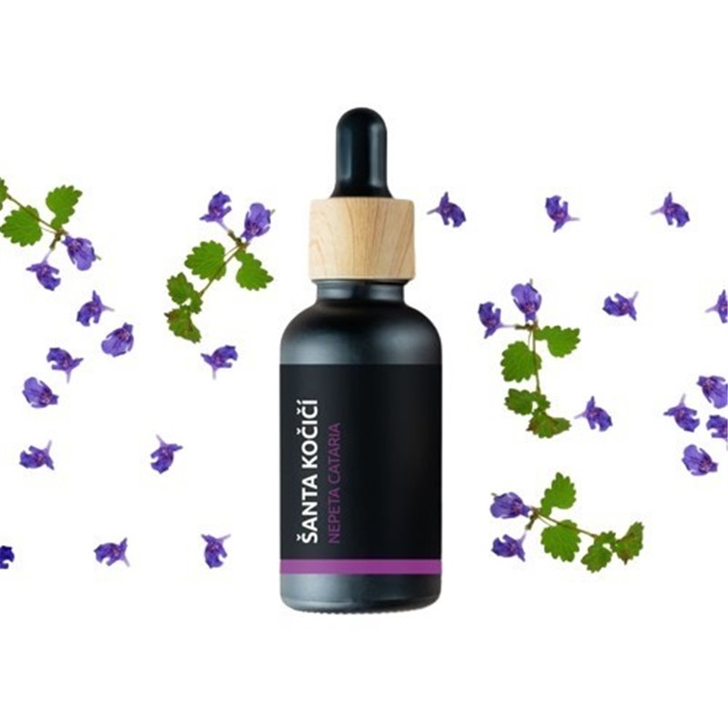Šanta kočičí - 100% přírodní esenciální olej (10ml) - Pěstík