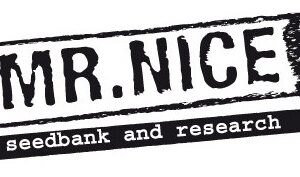 Stones 18ks regulérních semen Mr. Nice