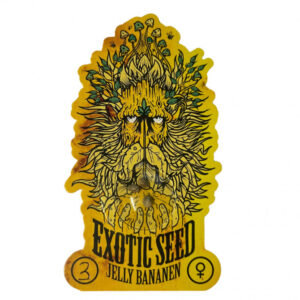 Jelly Bananen -feminizovaná semena marihuany, 3ks Exotic Seed