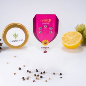 Shogun - feminizovaná semínka 5 ks Royal Queen Seeds