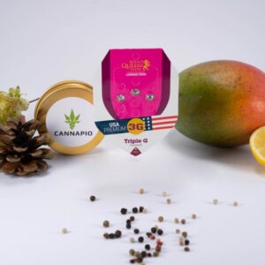 Triple G - feminizovaná semínka 3 ks Royal Queen Seeds