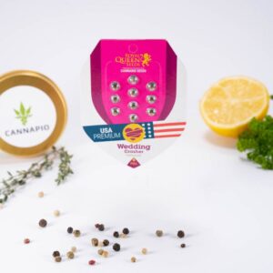 Wedding Crasher - feminizovaná semínka 10 ks Royal Queen Seeds