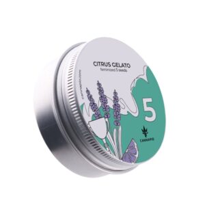 Citrus Gelato - feminizovaná semínka 5 ks Cannapio