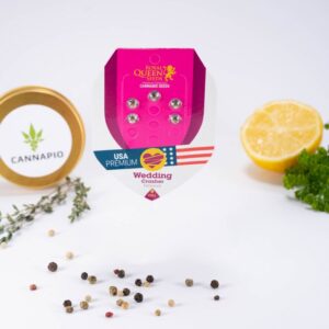 Wedding Crasher - feminizovaná semínka 3 ks Royal Queen Seeds