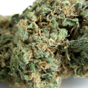 Original Skunk 1 - regulérní semena 10 ks Seedsman