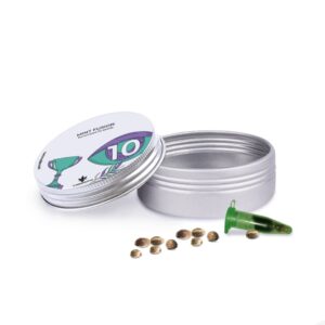 Mint Fusion - feminizované semená 10 ks Cannapio