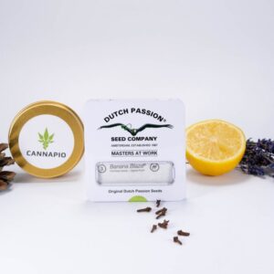Auto Banana Blaze -  samonakvétací semínka 3 ks Dutch Passion