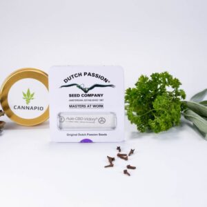 Auto CBD-Victory® - feminizovaná a samonakvétací semínka 7 ks Dutch Passion