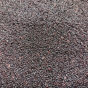 Červený amaranth na microgreens, 50 g