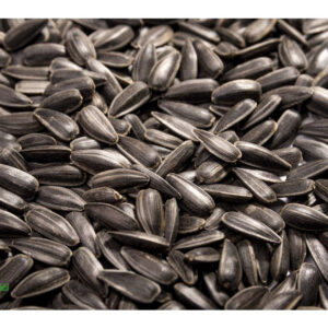 Slunečnice roční na microgreens, 100 g