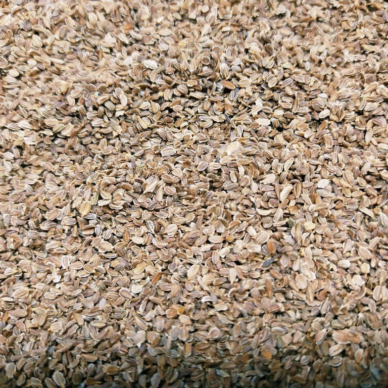 Mrkev na microgreens, 50 g