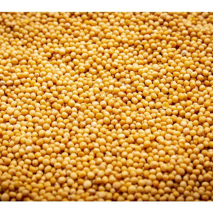 Hořčice bílá na microgreens, 50 g