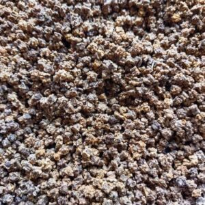 Řepa růžová na microgreens, 50 g