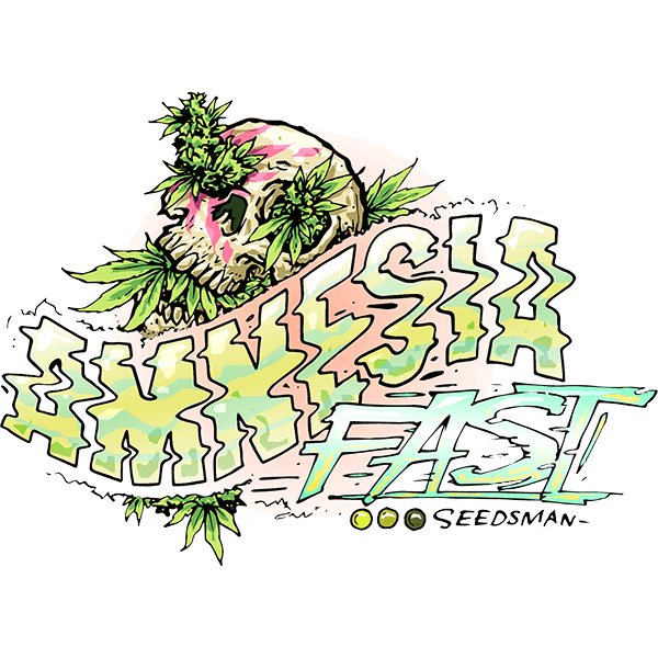 Amnesia Fast Feminizovaná Semínka - 3
