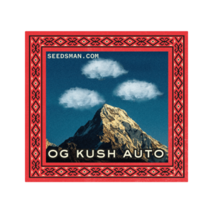 OG Kush Auto Feminizovaná Semínka - 25