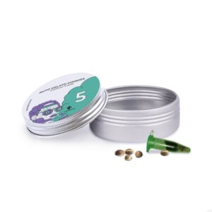 Auto Gelato Cookies - autoflowering semena 5 ks Cannapio