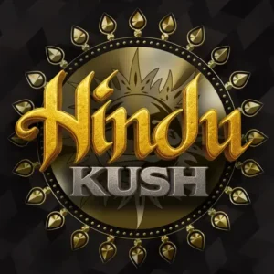 Hindu Kush Feminizovaná Semínka - 10