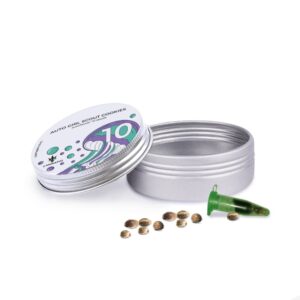 Auto Girl Scout Cookies - autoflowering semena 10 ks Cannapio