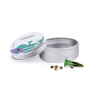 Blue Sky Auto - autoflowering semena 5 ks Cannapio