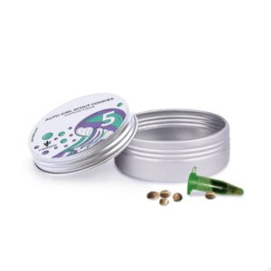 Auto Girl Scout Cookies - autoflowering semena 5 ks Cannapio