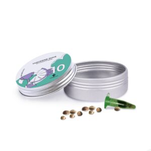 Tangerine Wave - feminizovaná semínka 10 ks Cannapio