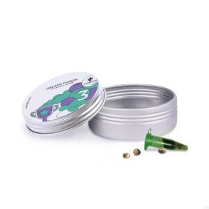 Gelato Fusion - samonakvétací semínka 3 ks Cannapio