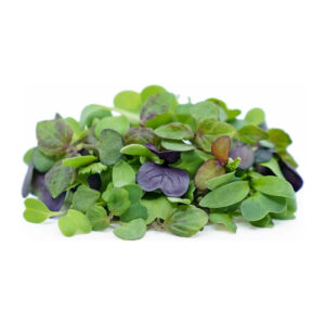 Microgreens semínka na klíčky - Směs čínská 40 g